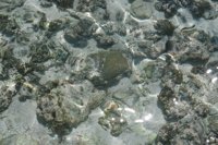 001102_0539_0035_nsls.jpg