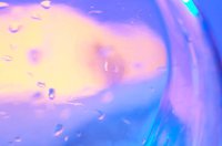 001027_0533_0020_lsls.jpg