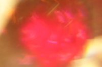 001024_0530_0012_lsls.jpg