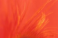 000905_0484_0012_nsls.jpg