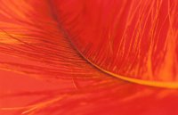 000905_0484_0002_nsls.jpg