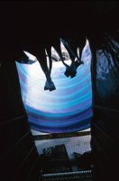 000901_0482_0059_nsls.jpg