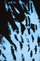 000901_0482_0025_nsls.jpg