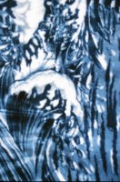 000901_0482_0024_nsls.jpg