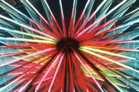 000824_0476_0069_nsls.jpg