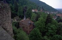 P0106126.jpg
