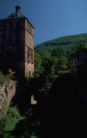 P0106123.jpg