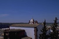 P0105841.jpg