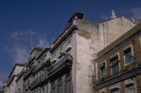 P0105480.jpg