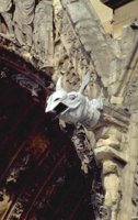 P0103353.jpg