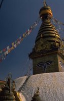 P0102466.jpg