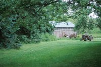 010709_0842_0082_nsls.jpg