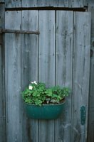 010709_0842_0008_nsls.jpg