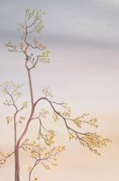 010705_0837_0011_lsls.jpg