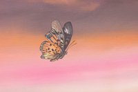 010704_0834_0021_lsls.jpg