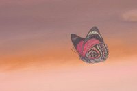 010704_0834_0020_lsls.jpg