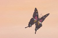 010704_0834_0018_lsls.jpg