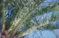 010704_0832_0721_nsls.jpg