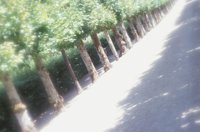 010704_0832_0601_nsls.jpg