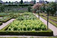 010704_0832_0597_nsls.jpg