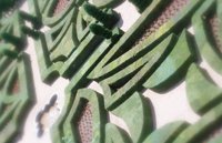 010704_0832_0581_nsls.jpg