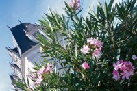 010704_0832_0578_nsls.jpg