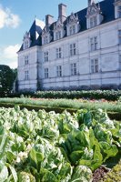 010704_0832_0577_nsls.jpg