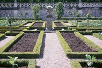 010704_0832_0568_nsls.jpg