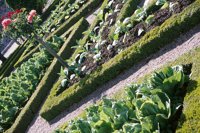 010704_0832_0567_nsls.jpg