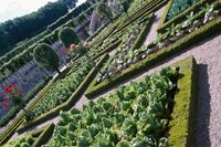 010704_0832_0566_nsls.jpg