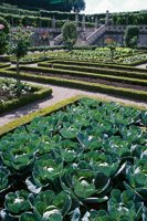 010704_0832_0562_nsls.jpg