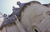 010704_0832_0524_nsls.jpg