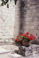 010704_0832_0522_nsls.jpg