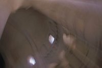 010704_0832_0500_nsls.jpg