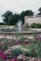 010704_0832_0465_nsls.jpg