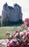 010704_0832_0402_nsls.jpg