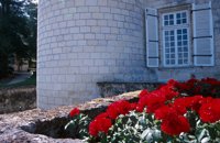 010704_0832_0370_nsls.jpg