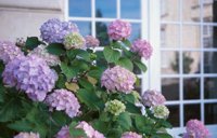 010704_0832_0356_nsls.jpg