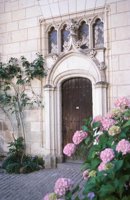 010704_0832_0353_nsls.jpg