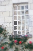 010704_0832_0336_nsls.jpg