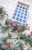010704_0832_0335_nsls.jpg