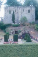 010704_0832_0318_nsls.jpg