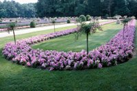 010704_0832_0140_nsls.jpg