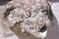 010704_0832_0102_nsls.jpg