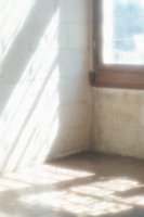 010704_0832_0085_nsls.jpg