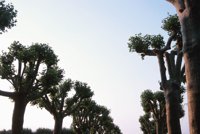 010704_0832_0074_nsls.jpg