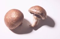 010523_0768_0017_lsls.jpg