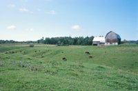 010517_0764_0023_nsls.jpg