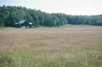 010517_0764_0021_nsls.jpg