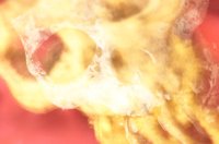 010514_0756_0006_lsls.jpg